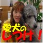 �������P���W�����x�I�������قǊȒP�ȍs�������ŁA�����Ă���...