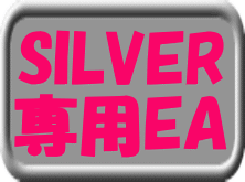 ＴｈｅＳＩＬＶＥＲ